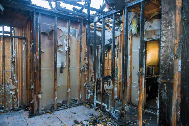 Professional Fire Damage Removal technician working in Joseph City, AZ